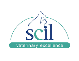 Scilvet logo